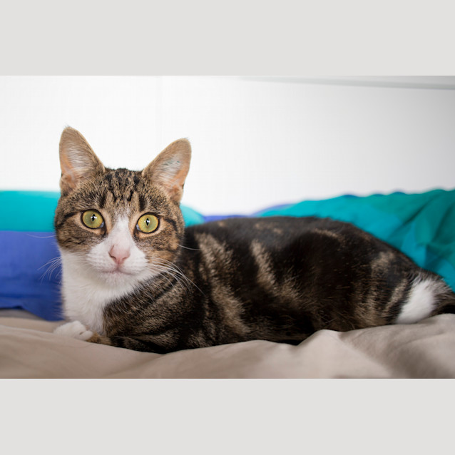 Photo of Peggy