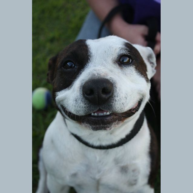 Photo of Roxy Dl1012