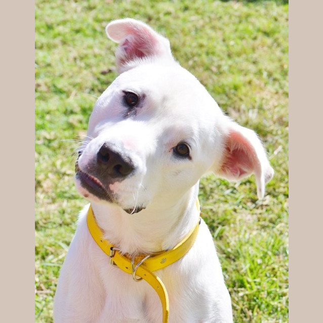 Photo of Harley