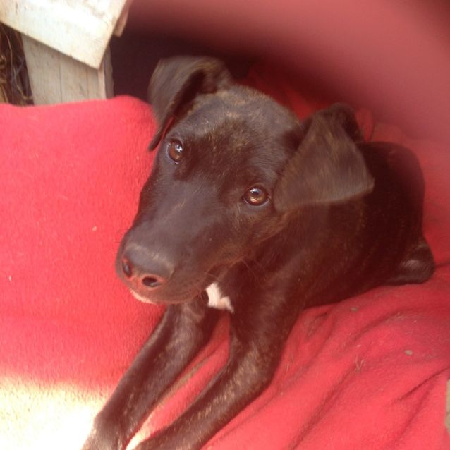 Photo of Sammy