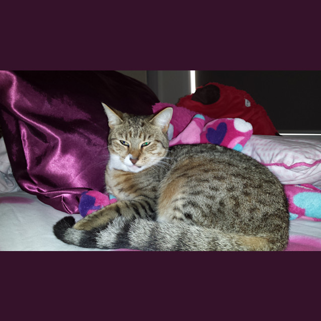 Photo of Lexie