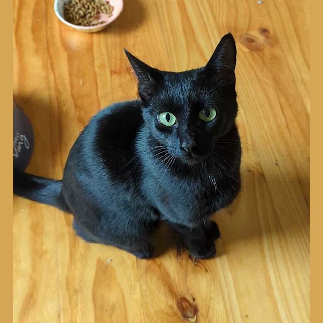 Photo of Salem