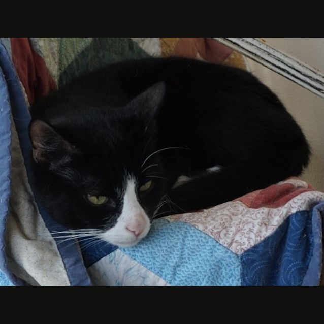 Photo of Ace