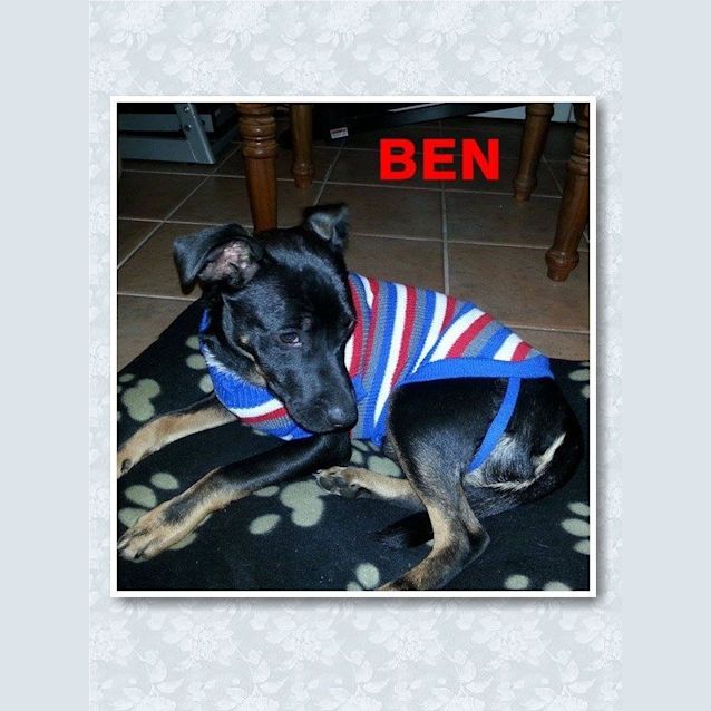 Photo of Ben