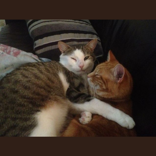 Photo of Ollie & Subby