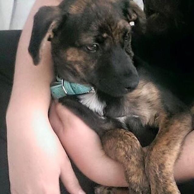 Photo of Miss Matilda