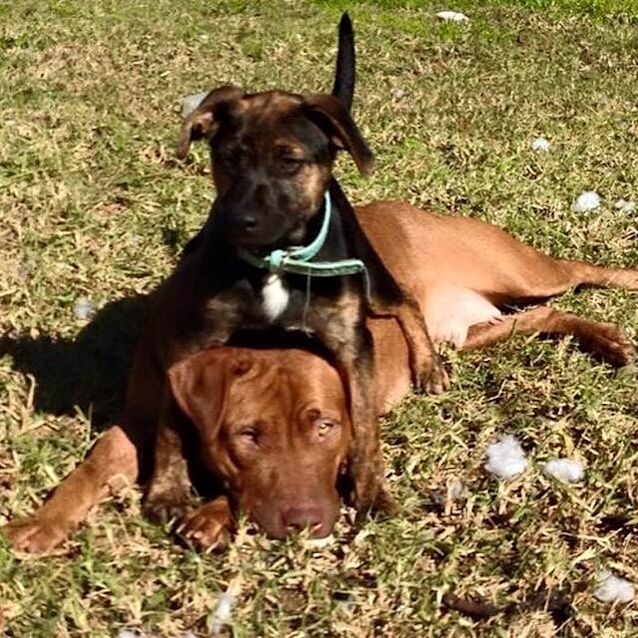 Photo of Miss Matilda