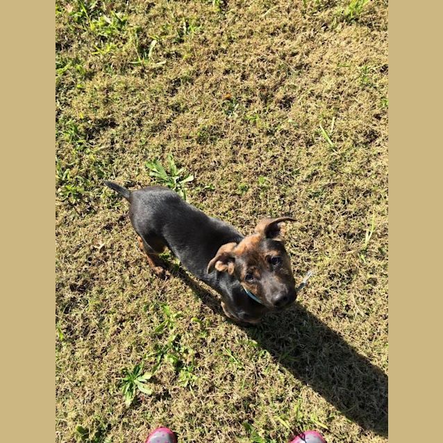 Photo of Miss Matilda