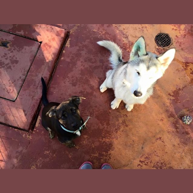 Photo of Miss Matilda