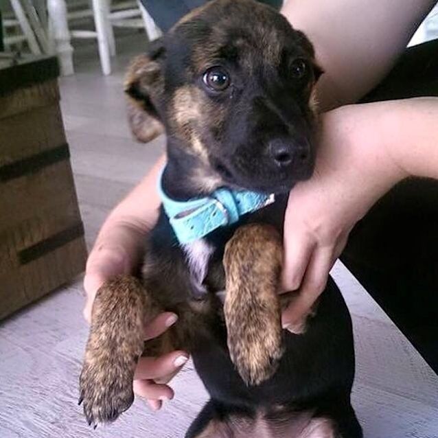 Photo of Miss Matilda