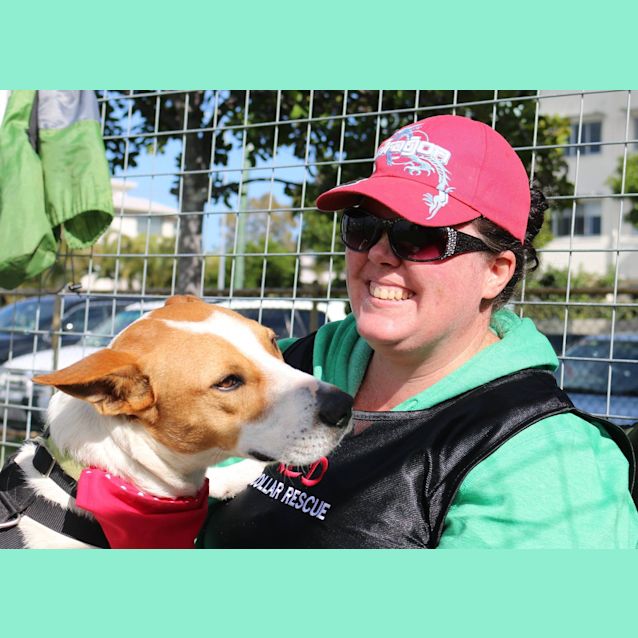 Photo of Diesel (Adoption Pending)