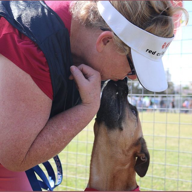 Photo of Molly Brown (At Rspca Big Adopt Day Sept 19 Bris)