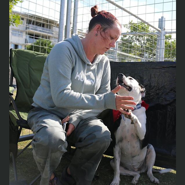 Photo of Ella (Adoption Pending)