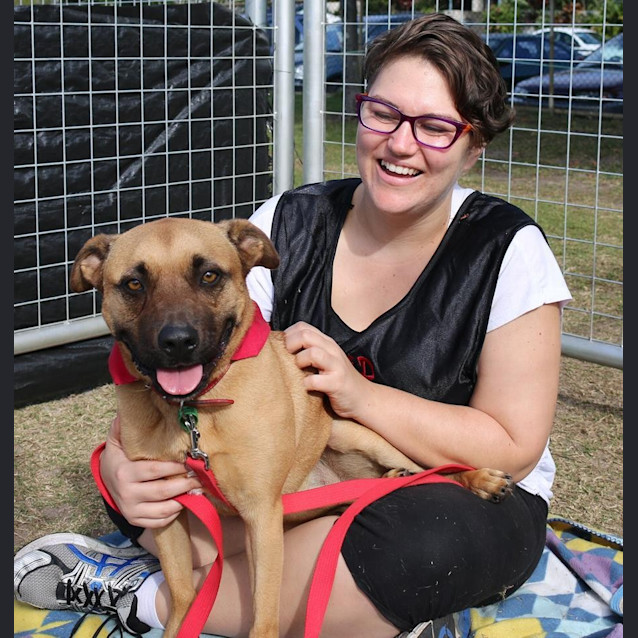 Photo of Max (Adoption Pending)