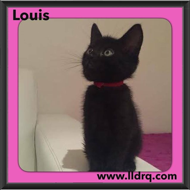 Photo of Louis 