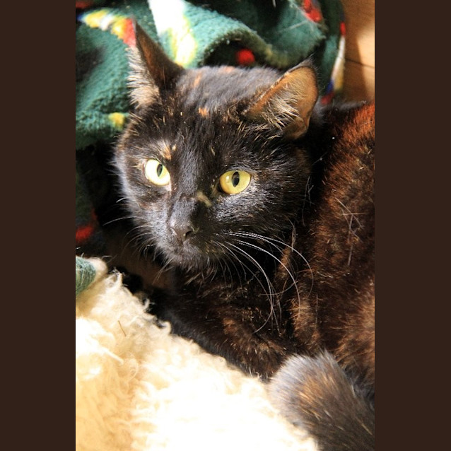 Photo of Freda