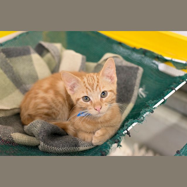 Photo of Jack