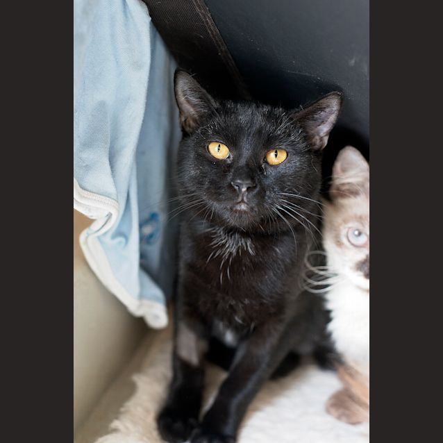 Photo of Eve