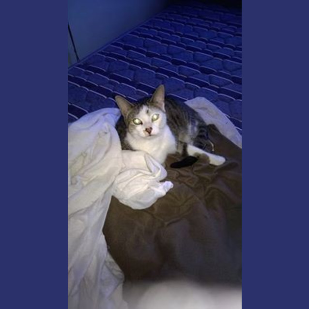 Photo of Simon