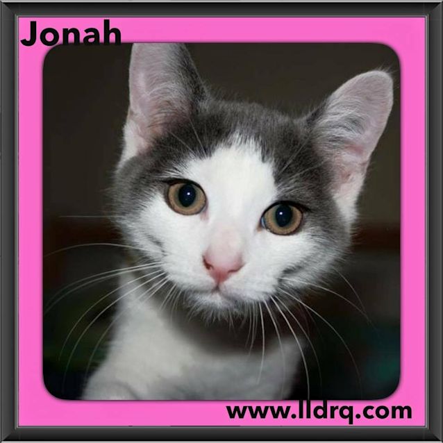 Photo of Jonah 
