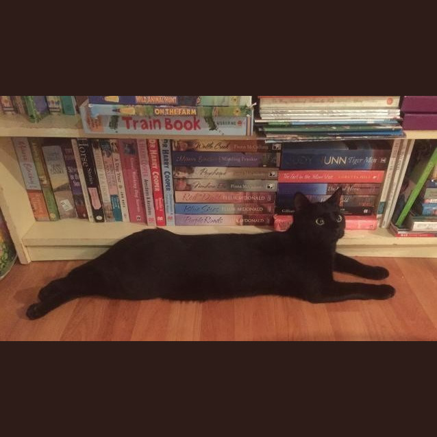 Photo of Ringo Ec0073