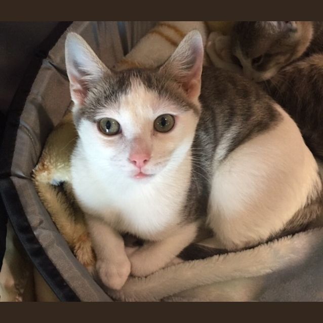 Photo of Buster