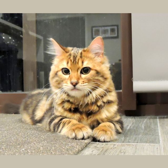Photo of Echo
