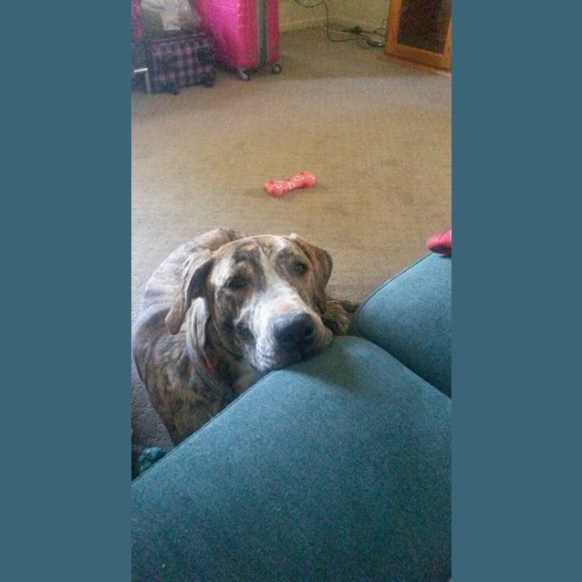 Photo of Miss Betty Boo