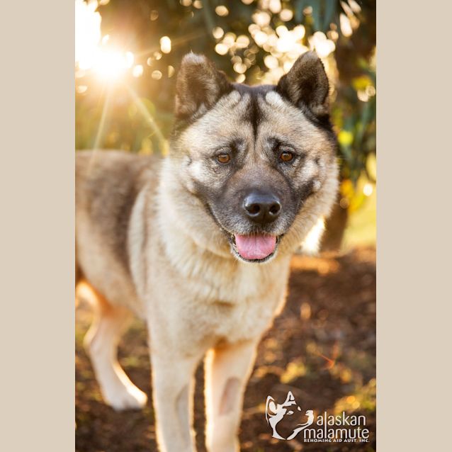 Photo of Bella