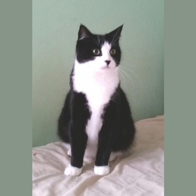 Photo of Emerald