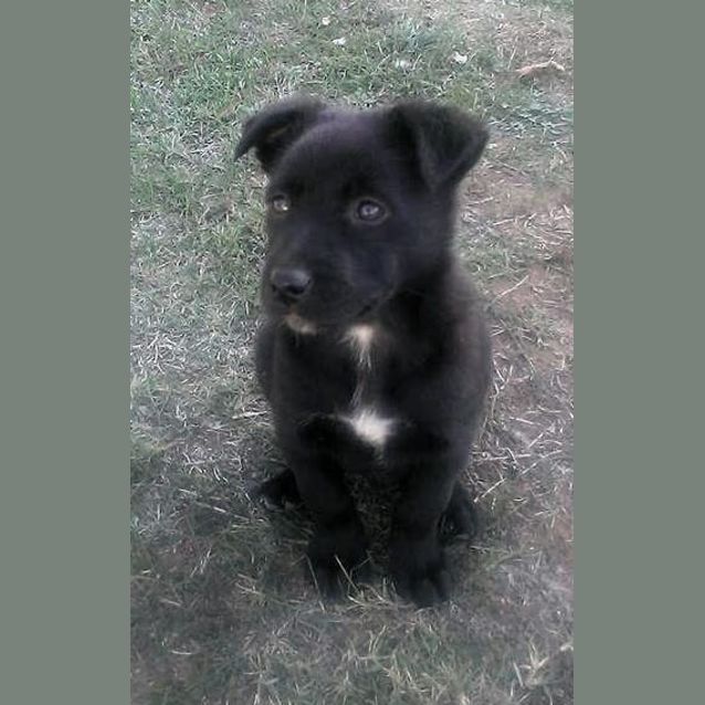 Photo of Jack