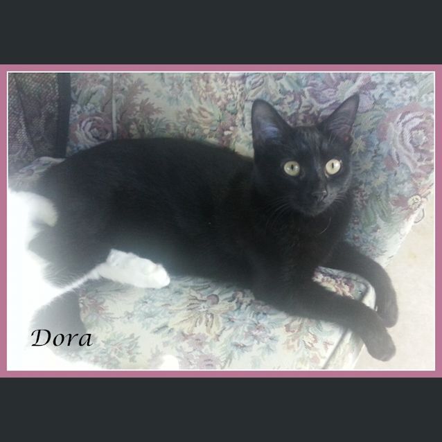 Photo of Dora