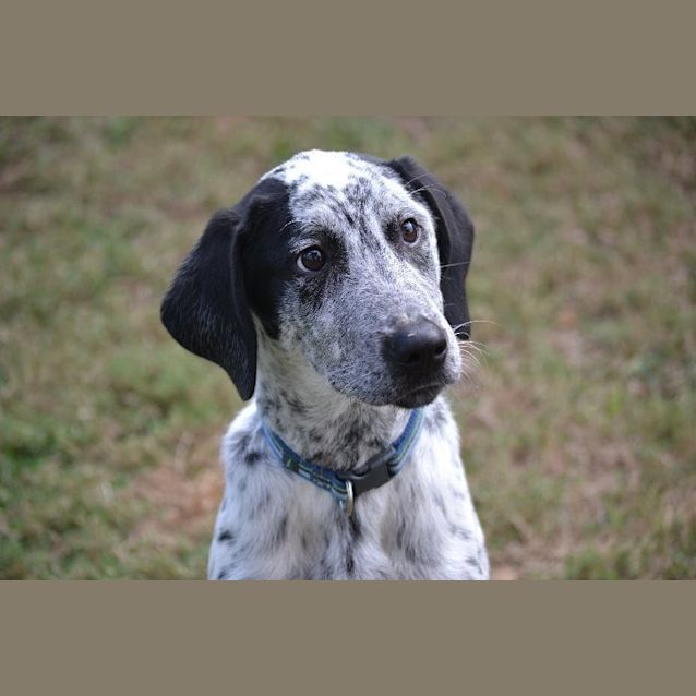 Photo of Oscar