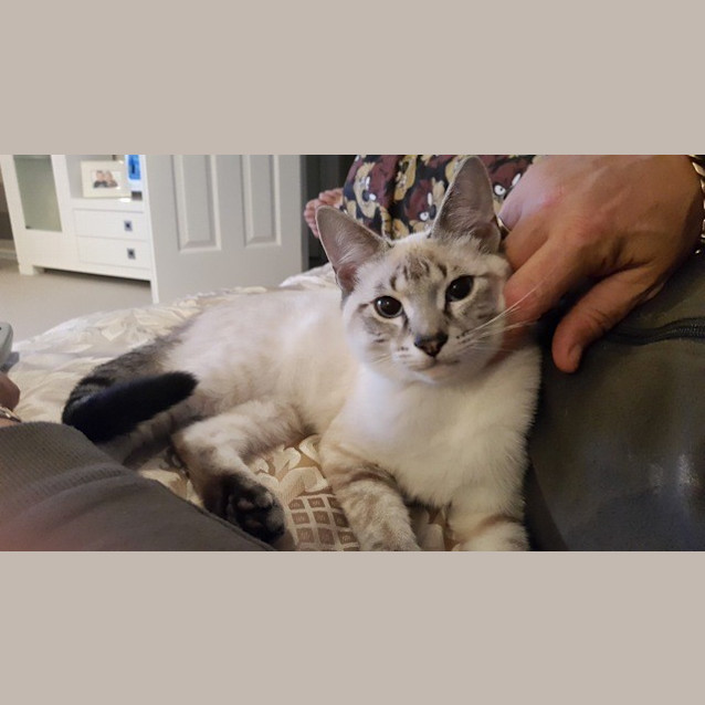 Photo of Jasper (Ec0037)