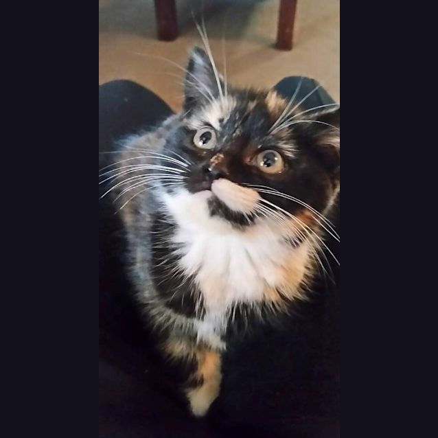 Photo of Casey