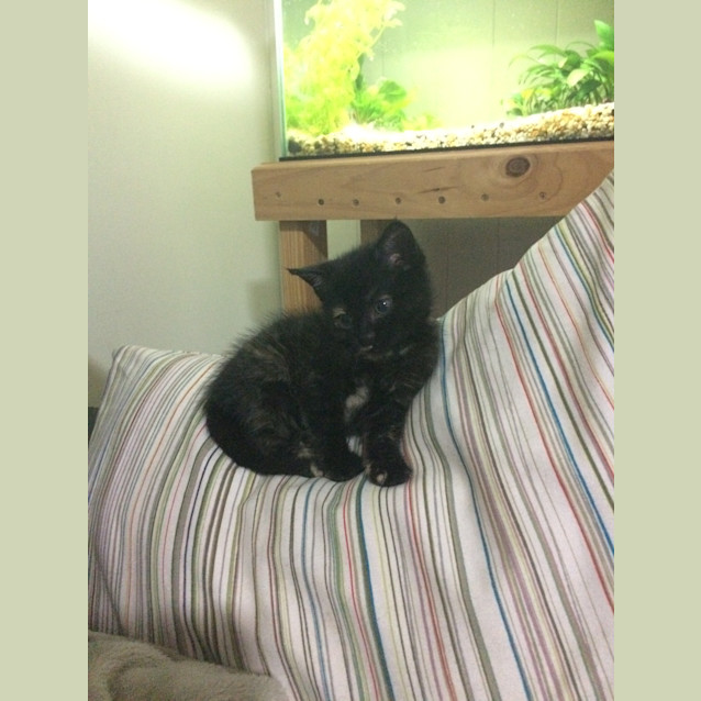 Photo of Suzy