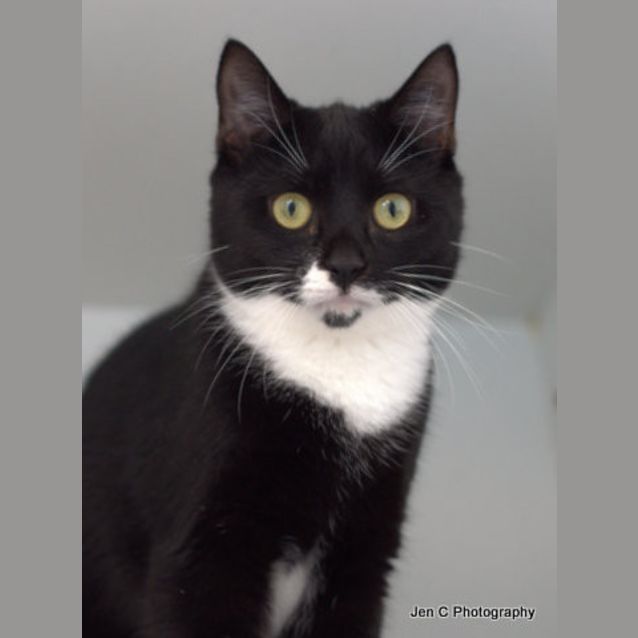 Photo of Phantom