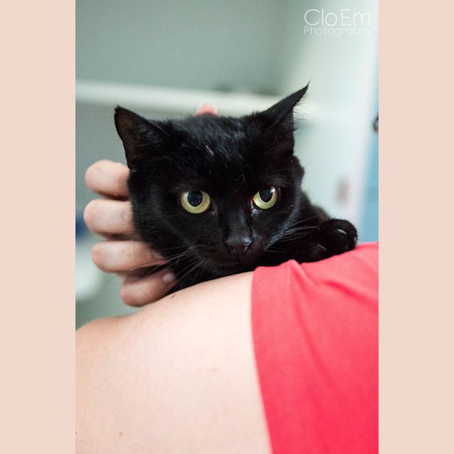Photo of Mama