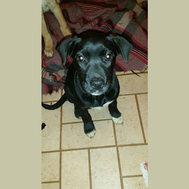 Photo of Zena