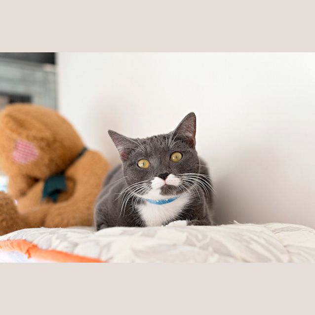Photo of Angel