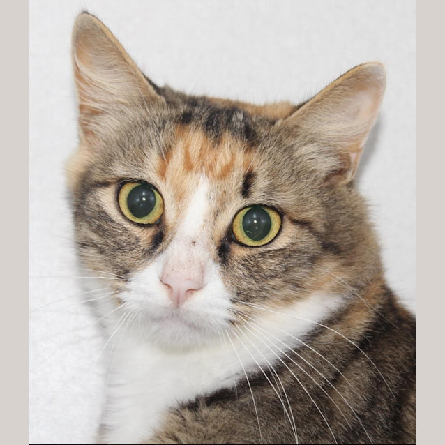 Photo of Milly