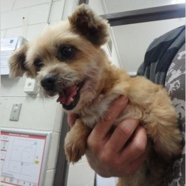 Photo of Stella