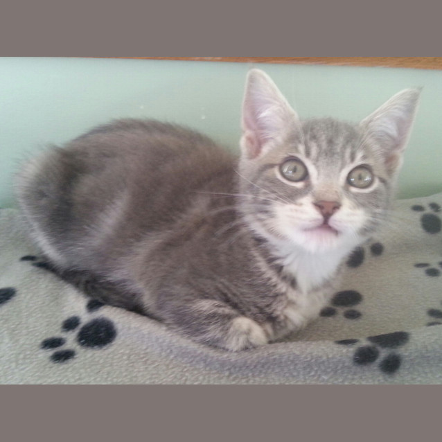 Photo of Olivia