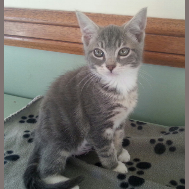 Photo of Olivia