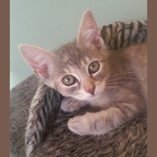 Photo of Leah