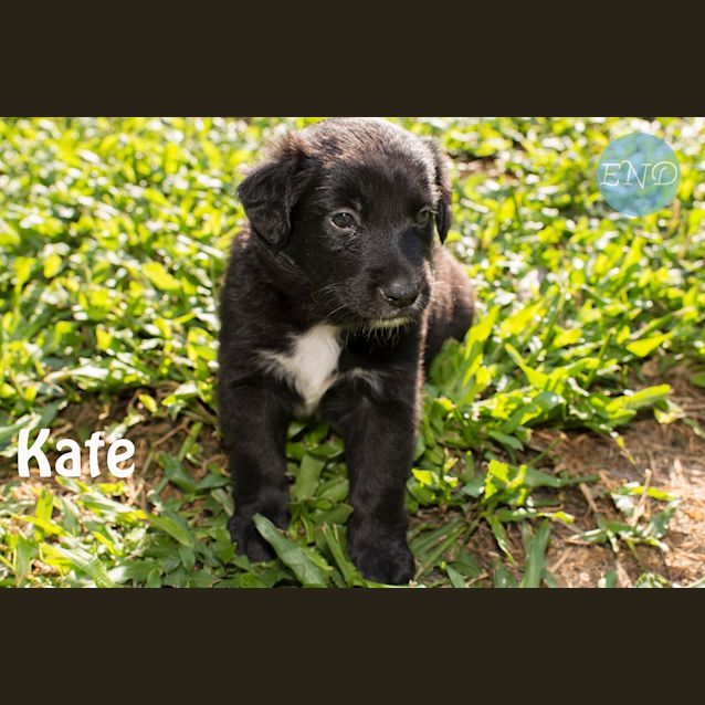 Photo of Kate 