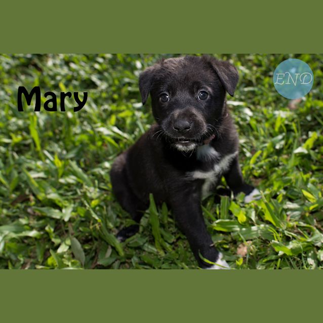 Photo of Mary