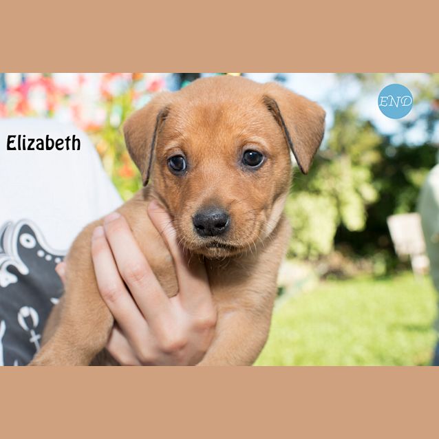 Photo of Elizabeth 
