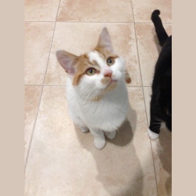 Photo of Charlie