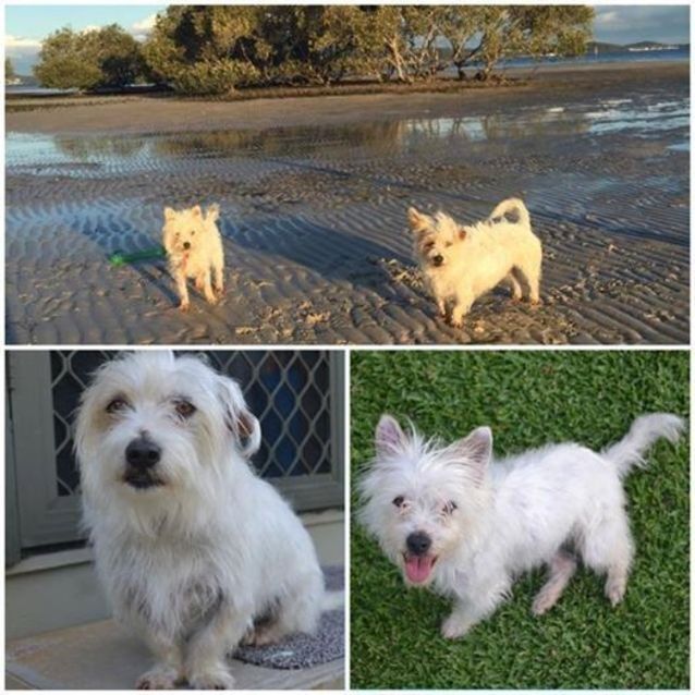 Photo of Ella And Wilbur